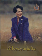 ภาพปกที่กำหนดเอง