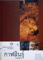 ภาพปกที่กำหนดเอง