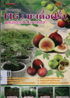 ภาพปกที่กำหนดเอง