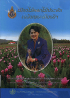 ภาพปกที่กำหนดเอง