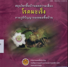 ภาพปกที่กำหนดเอง
