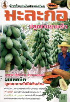 ภาพปกที่กำหนดเอง