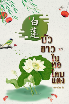 ภาพปกที่กำหนดเอง