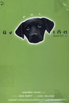 ภาพปกที่กำหนดเอง